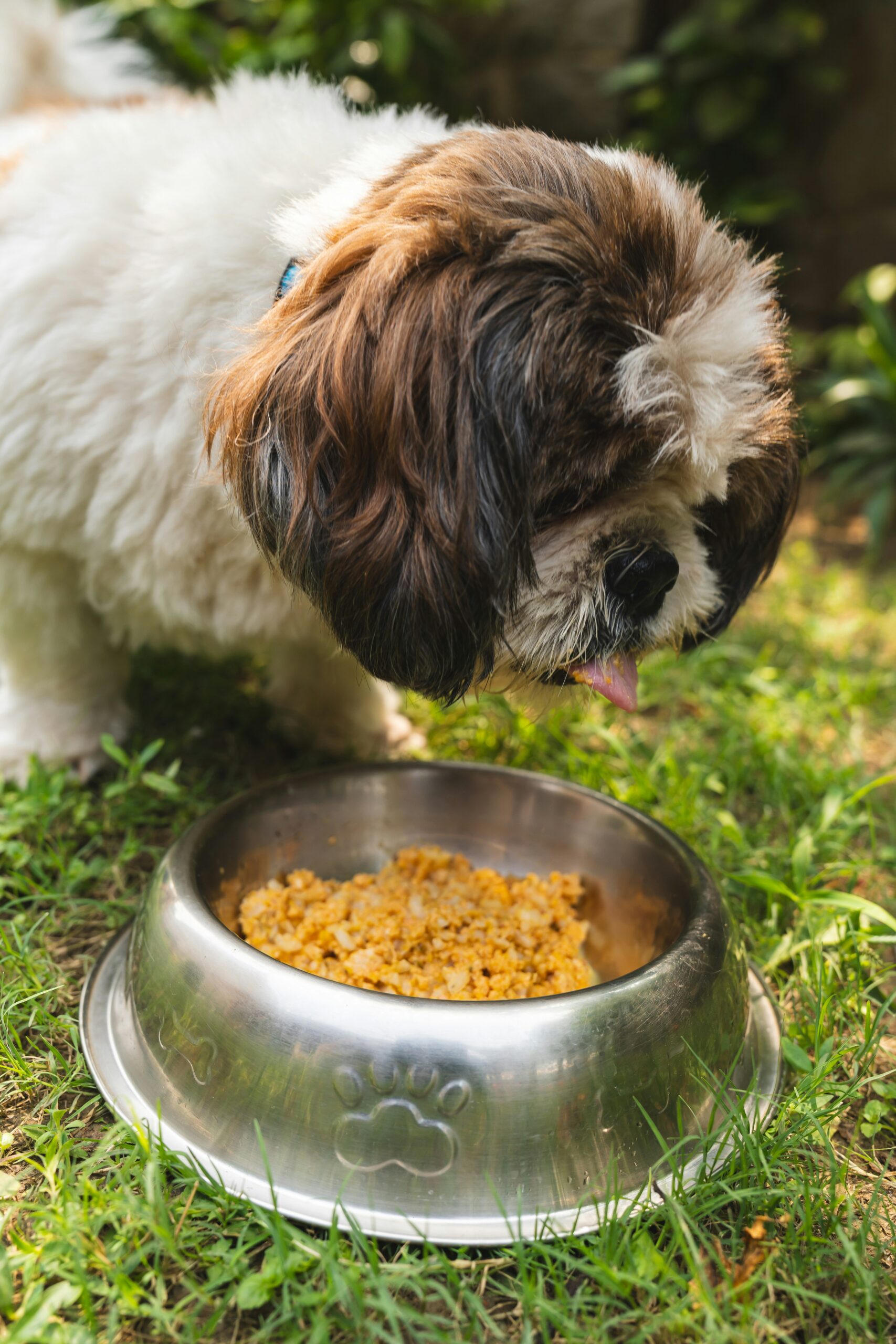 Ranch Dog Food