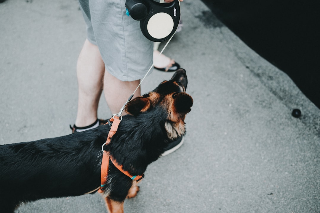 Bordetella Vaccine