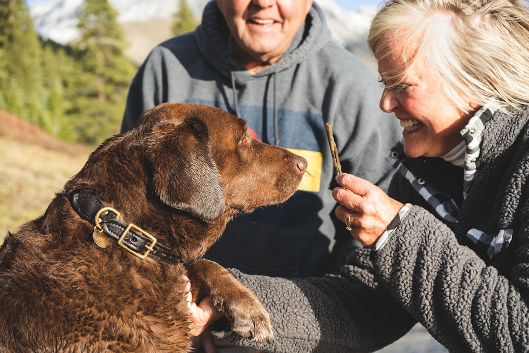 Can Dogs Get Colds? Signs to Look Out For and Care Tips