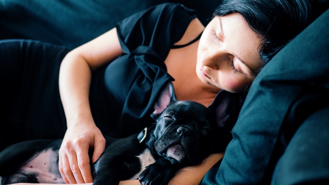 Costco Dog Beds: The Ultimate Guide to Choosing the Perfect Comfort for Your Pup